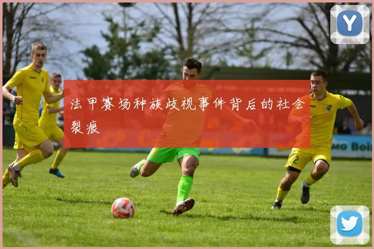法甲赛场种族歧视事件背后的社会裂痕