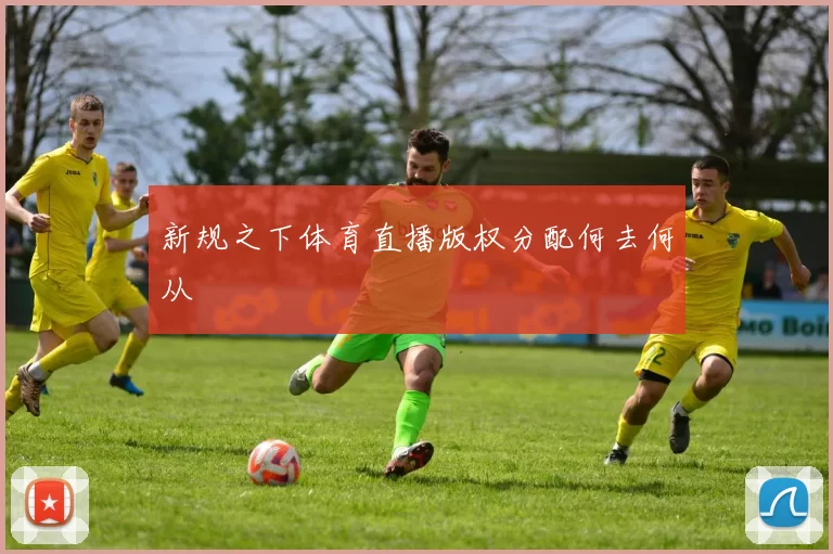 新规之下体育直播版权分配何去何从