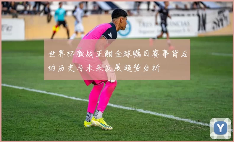 世界杯激战正酣全球瞩目赛事背后的历史与未来发展趋势分析