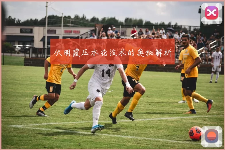 伏明霞压水花技术的奥秘解析