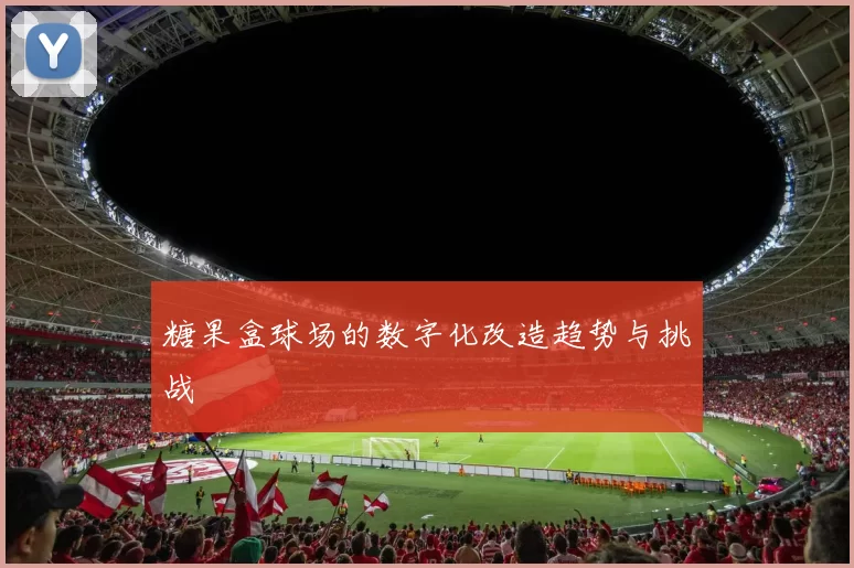 糖果盒球场的数字化改造趋势与挑战